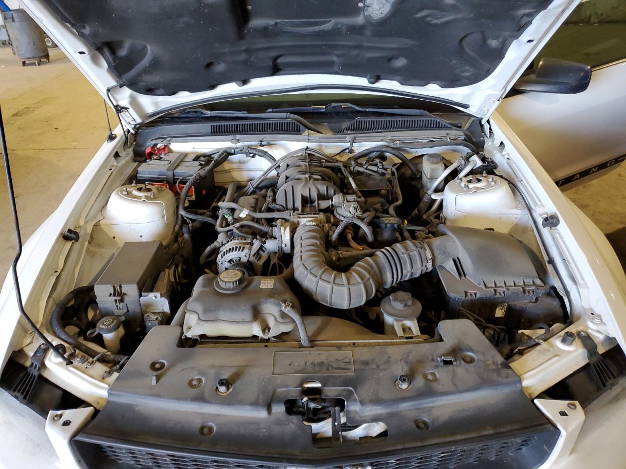 2009 Ford Mustang VIN 1ZVHT80N095114954 Copart auction photo, rear end / minor dent/scratches damage thumbnail 11