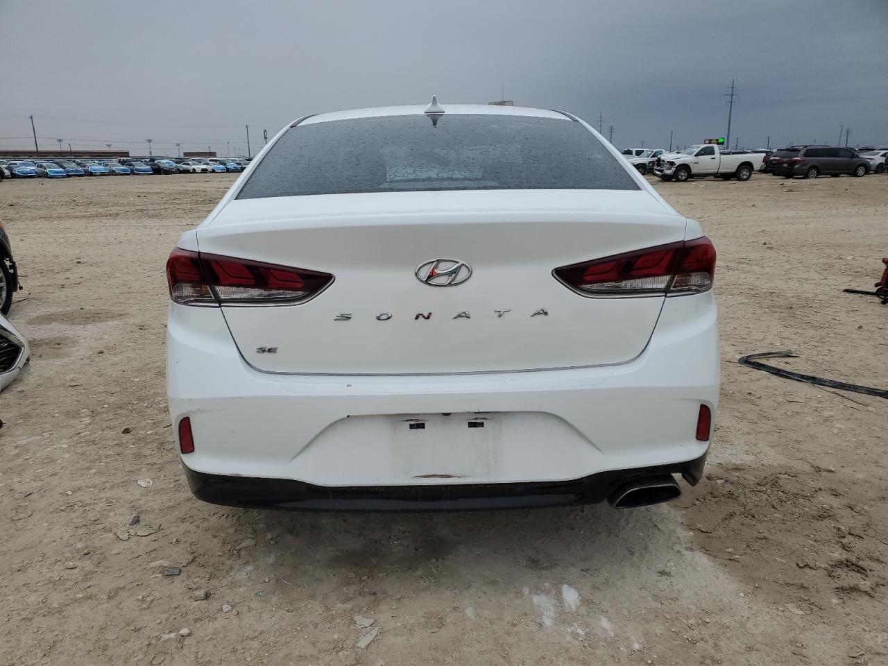 2019 Hyundai Sonata VIN 5NPE24AF4KH774624 Copart auction photo, front end damage thumbnail 6