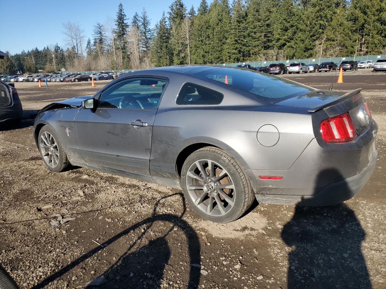 2010 Ford Mustang VIN 1ZVBP8AN4A5131589 Copart auction photo, front end damage thumbnail 2