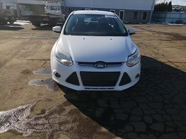 2013 Ford Focus VIN 1FADP3F24DL215544 Copart auction photo, side damage thumbnail 11
