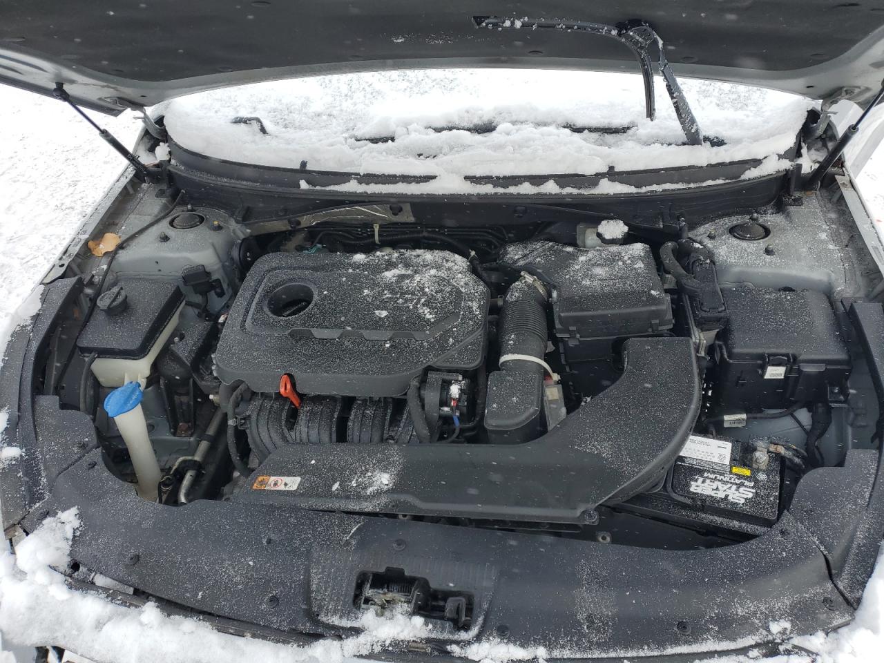2016 Hyundai Sonata VIN 5NPE24AF6GH352457 Copart auction photo, vandalism / front end damage thumbnail 11