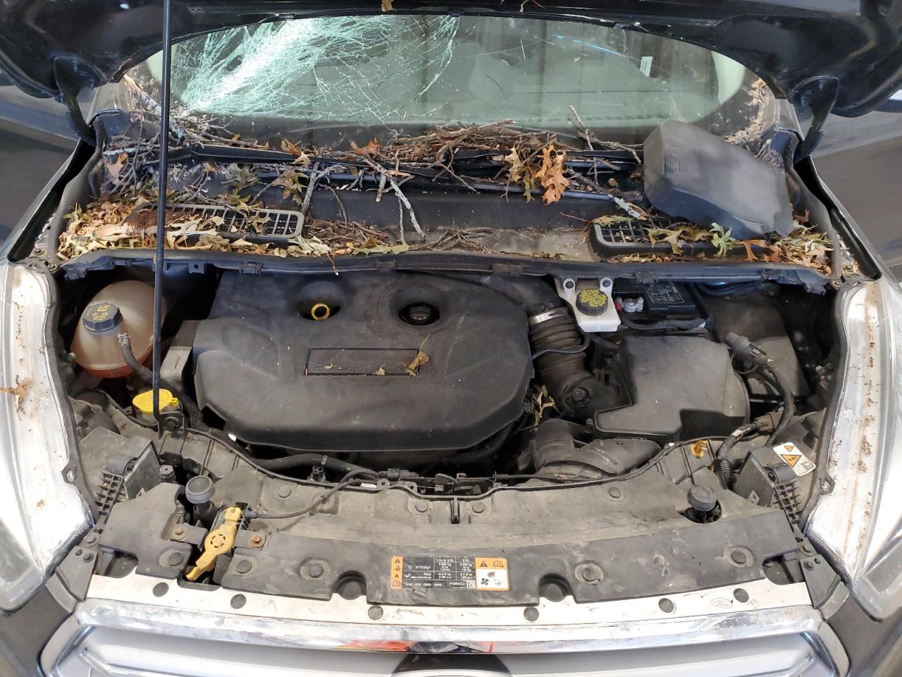 2017 Ford Escape VIN 1FMCU9J94HUA03034 Copart auction photo, all over / top/roof damage thumbnail 11