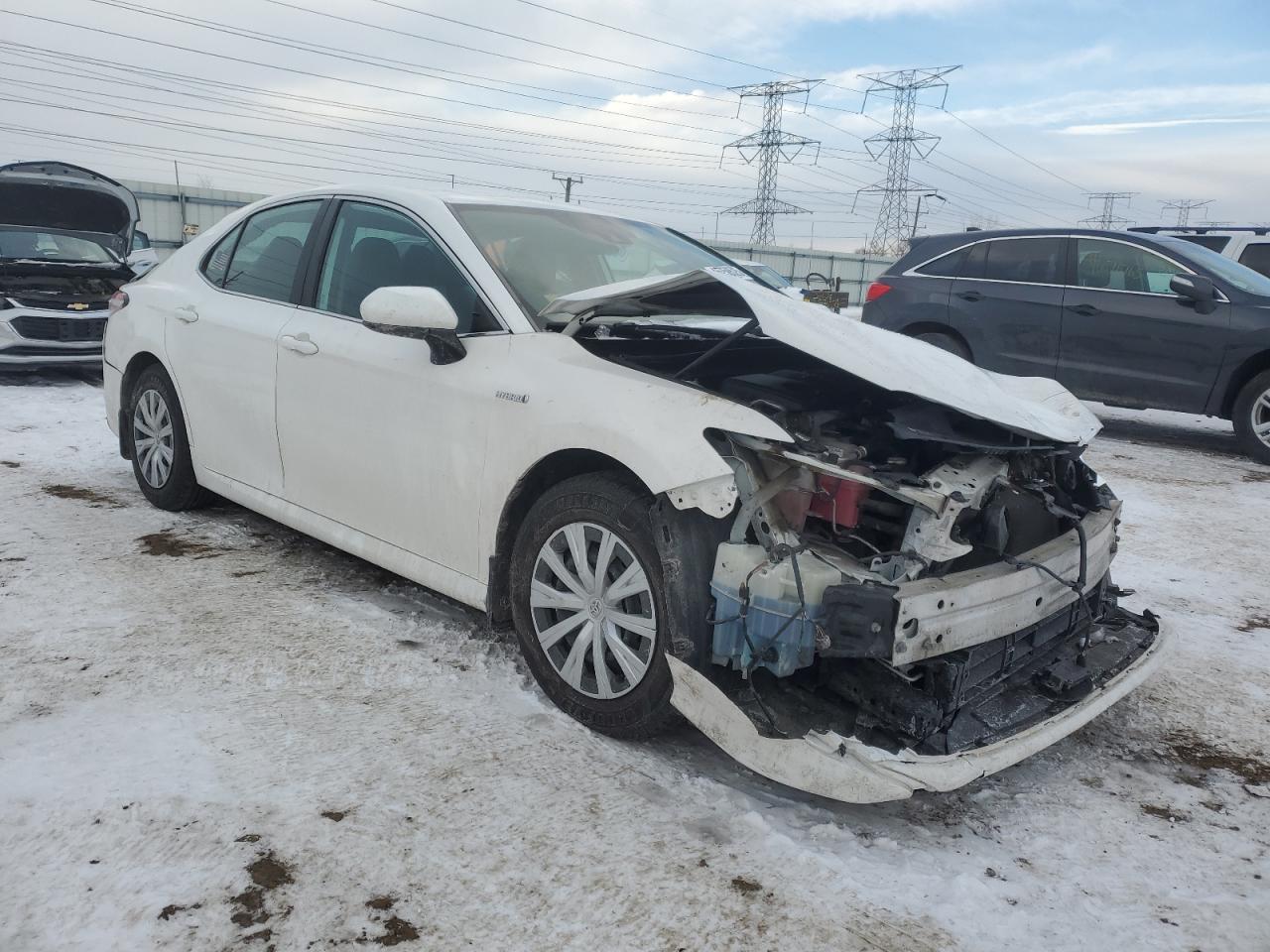 2019 Toyota Camry VIN 4T1B31HK9KU510561 Copart auction photo, all over / mechanical damage thumbnail 4