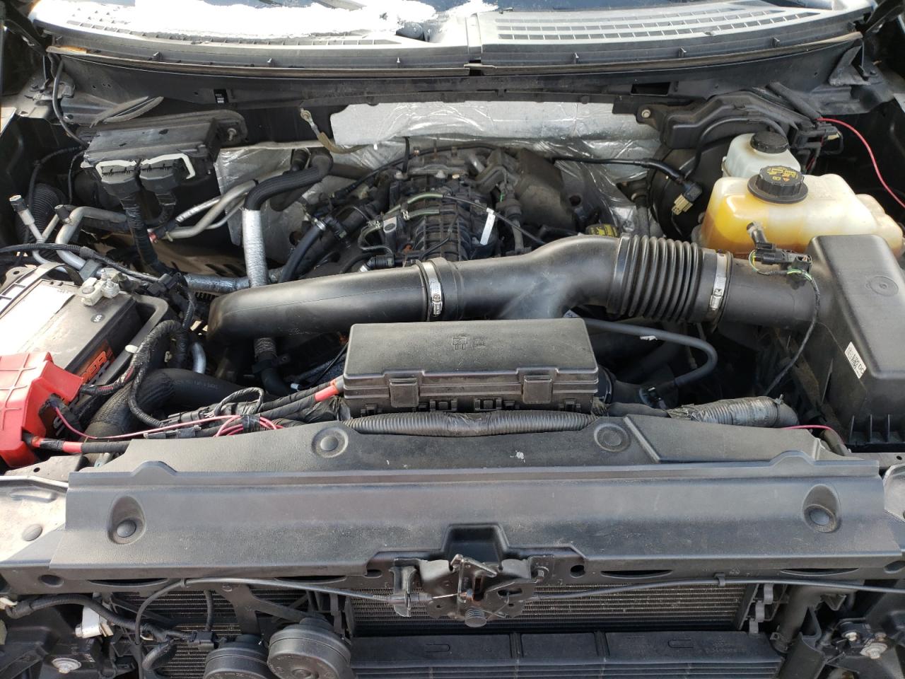 2013 Ford F-150 VIN 1FTFW1ET7DFC96817 Copart auction photo, vandalism / minor dent/scratches damage thumbnail 12