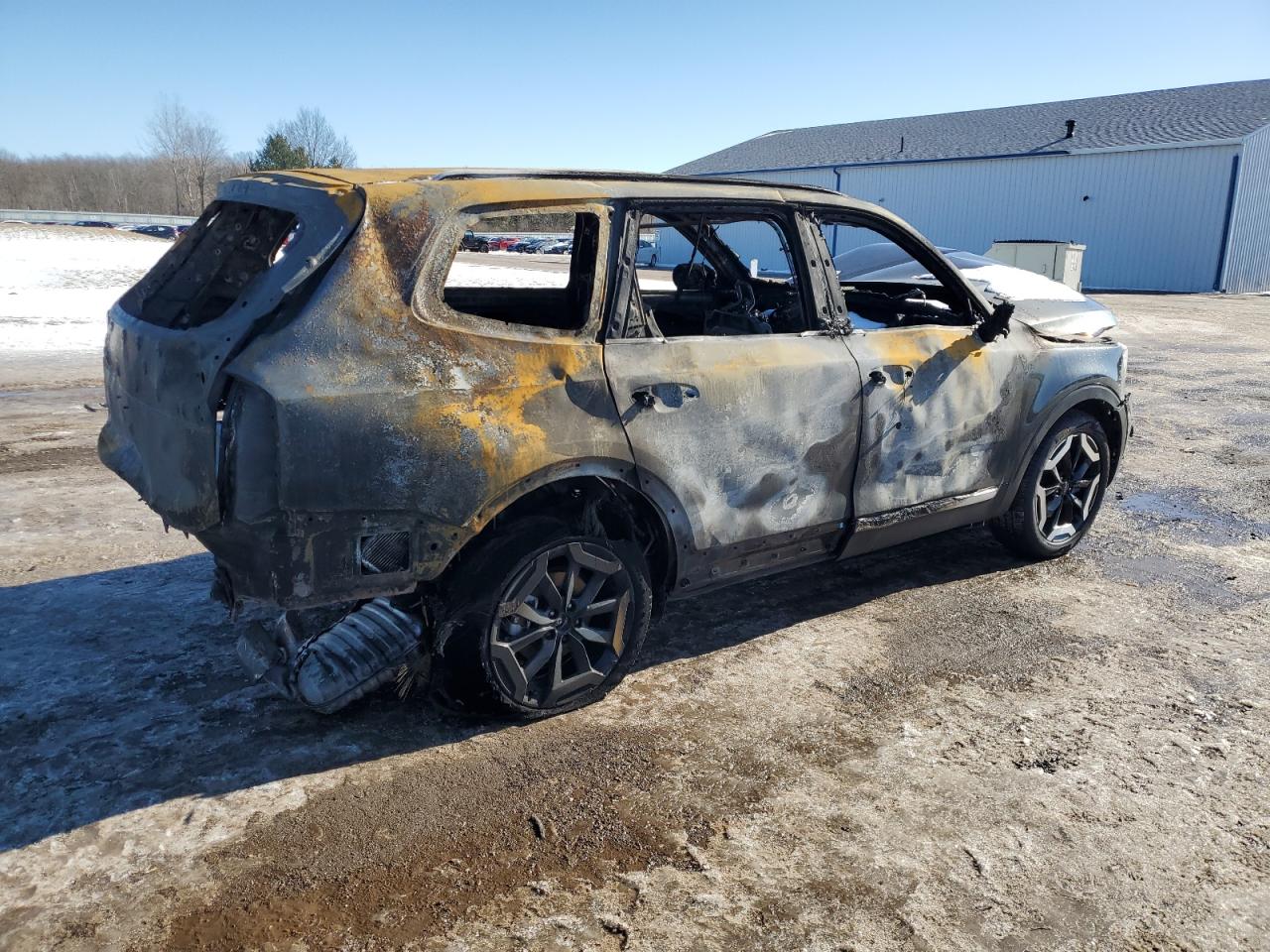 2024 KIA Telluride VIN 5XYP6DGCXRG480141 Copart auction photo, burn damage thumbnail 3