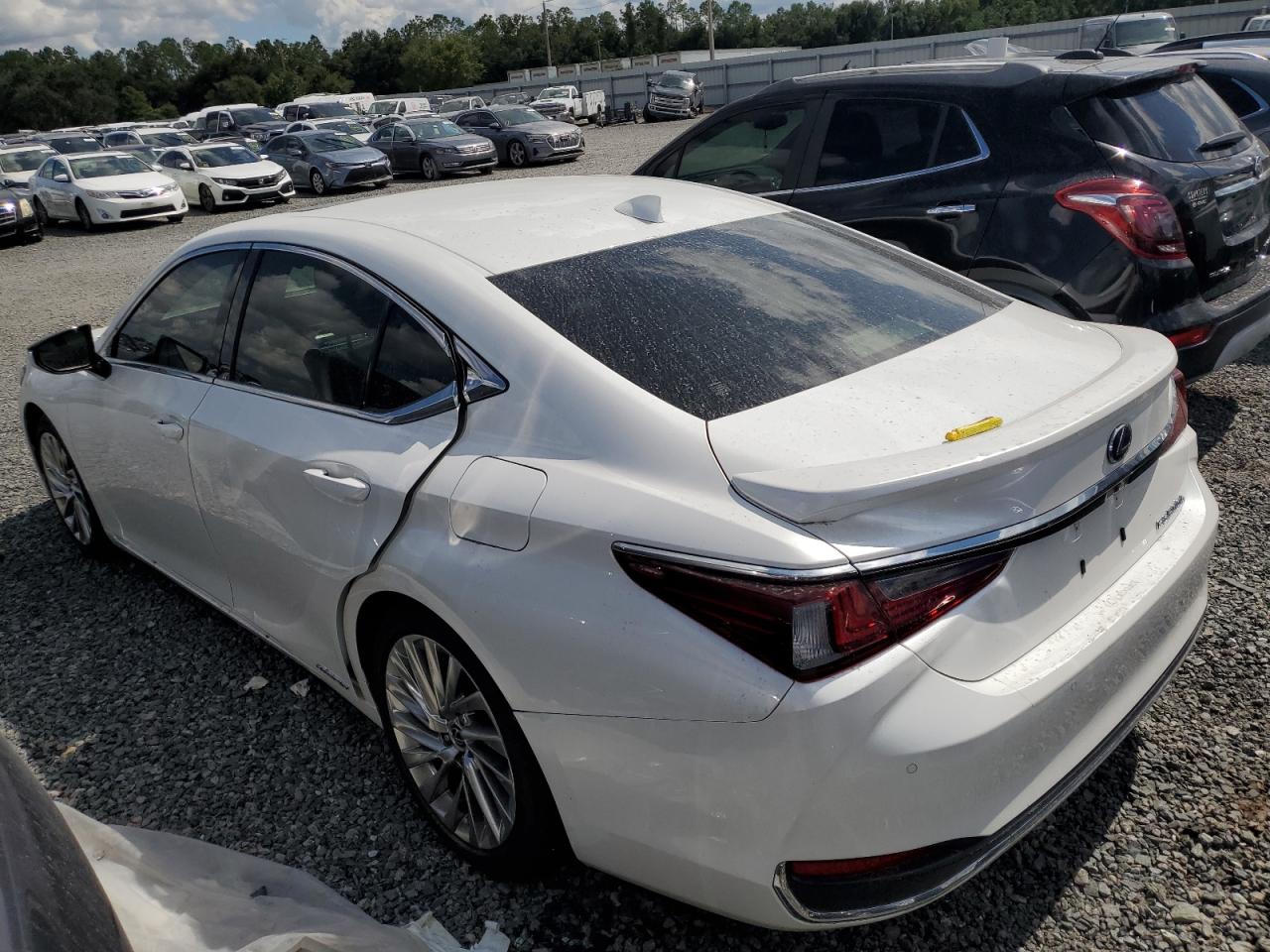 2019 Lexus ES VIN JTHB21B11K2043816 Copart auction photo, water/flood damage thumbnail 2