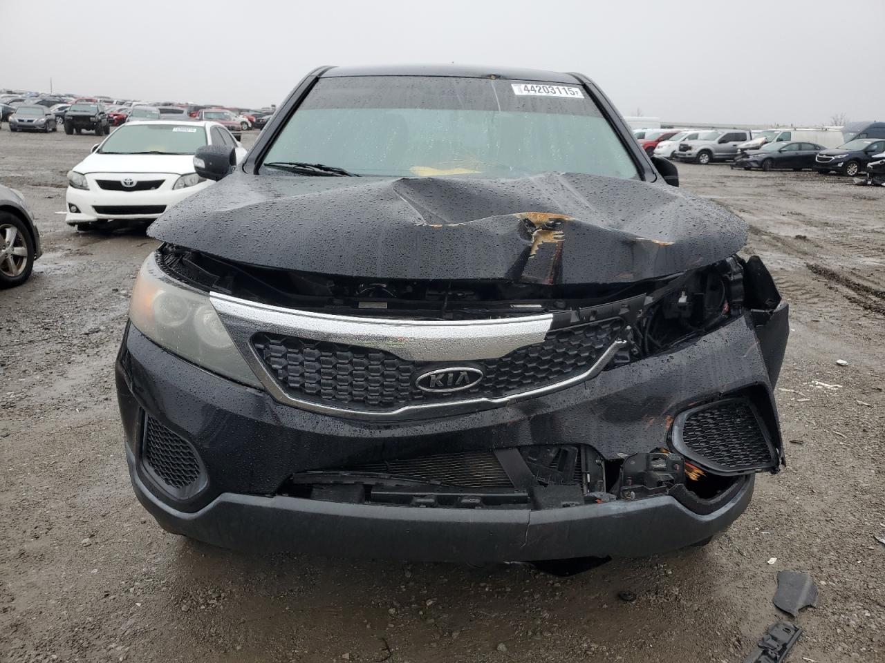 2011 KIA Sorento VIN 5XYKTCA13BG014206 Copart auction photo, front end damage thumbnail 5