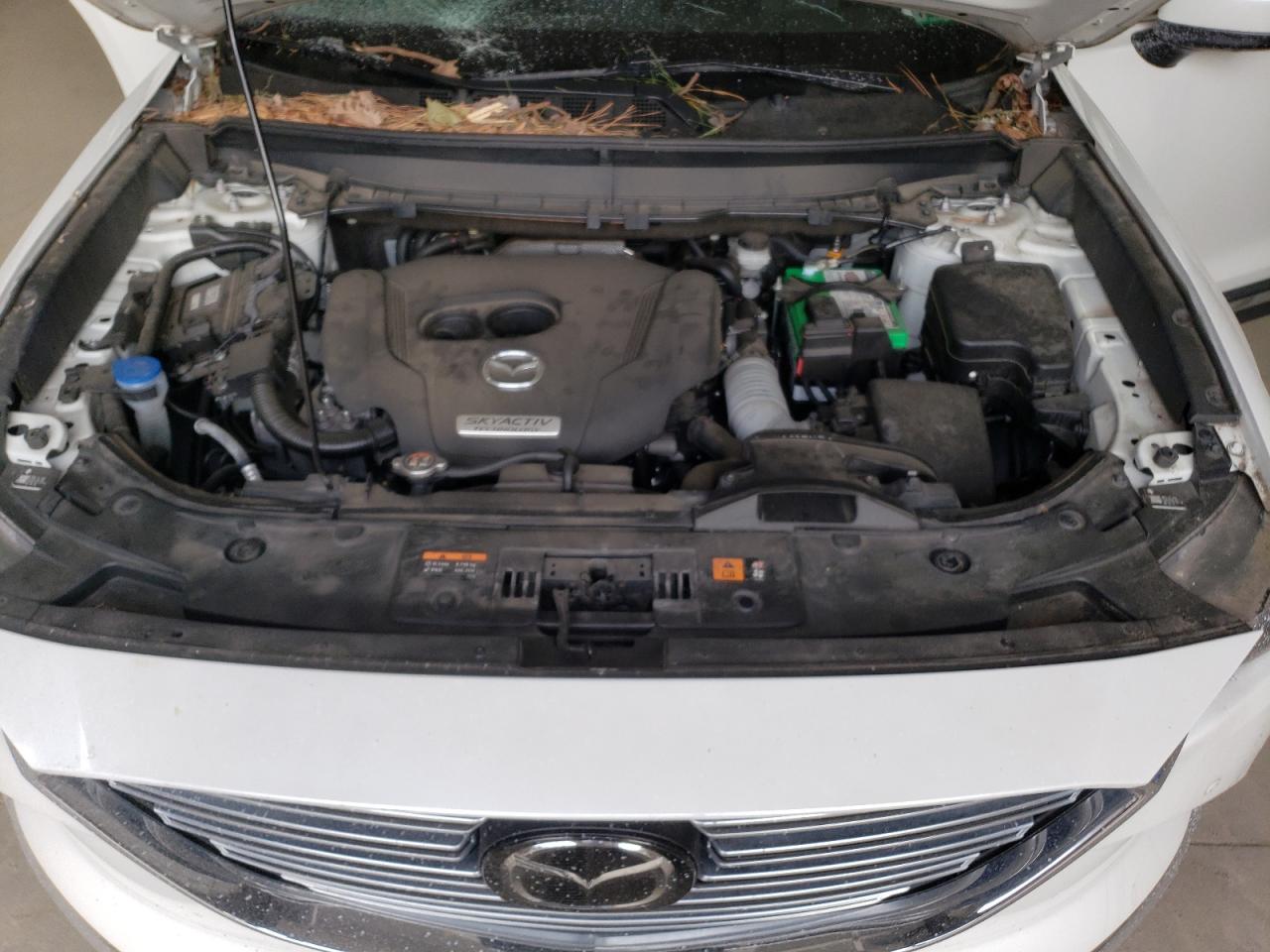 2019 Mazda CX-9 VIN JM3TCBDY2K0313173 Copart auction photo, top/roof / rear end damage thumbnail 13