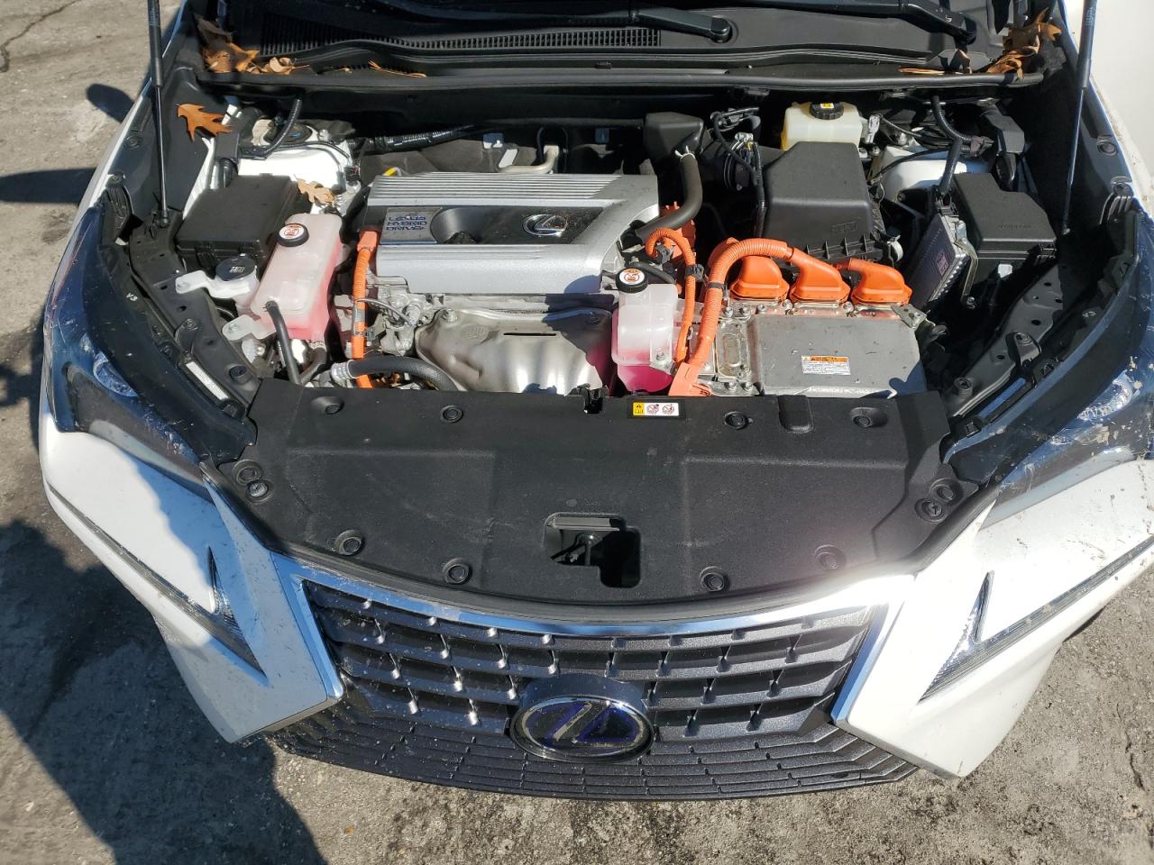 2021 Lexus NX VIN JTJDJRDZ6M5015183 Copart auction photo, side damage thumbnail 12