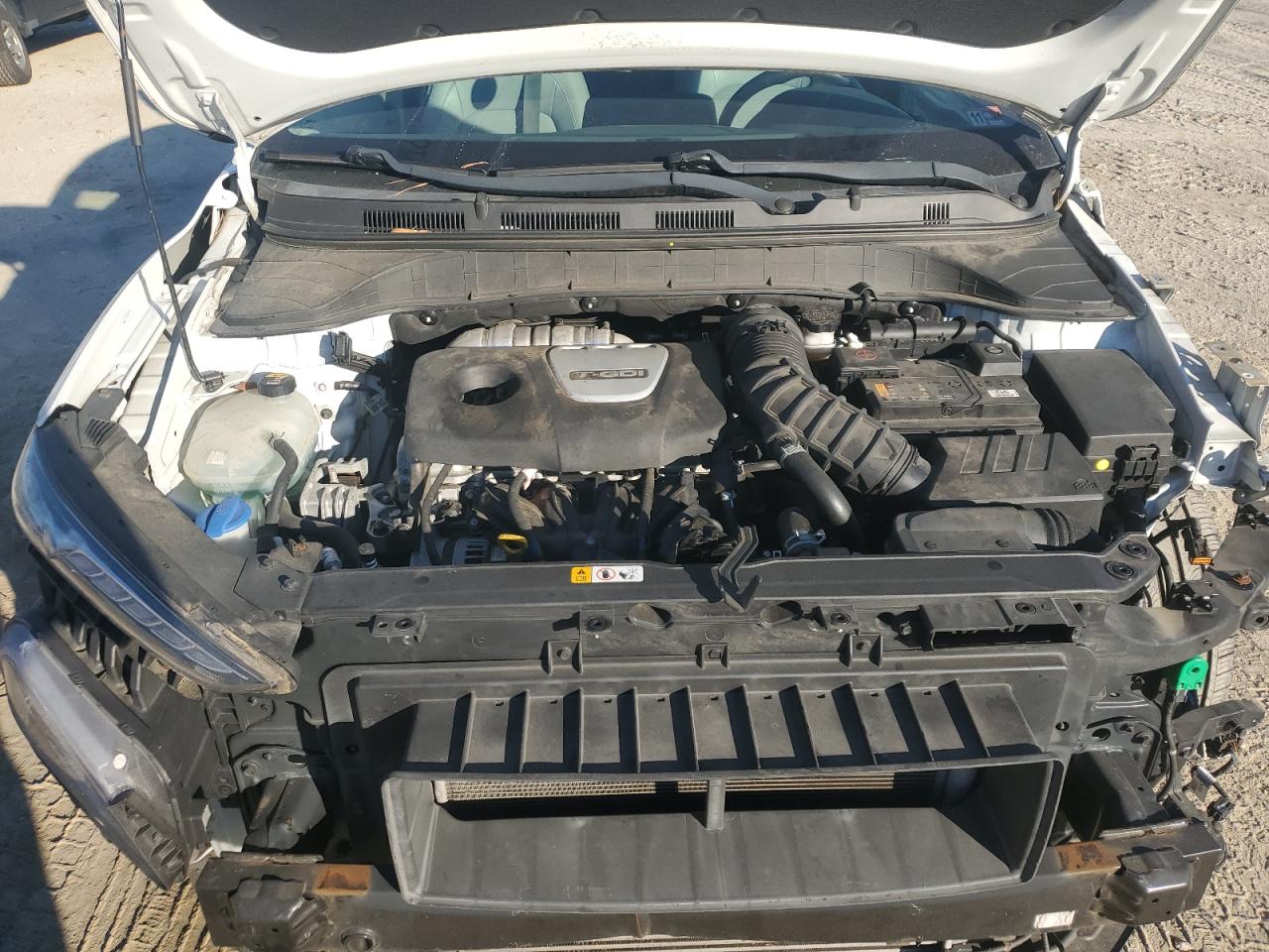2019 Hyundai Kona VIN KM8K33A59KU228002 Copart auction photo, all over damage thumbnail 11