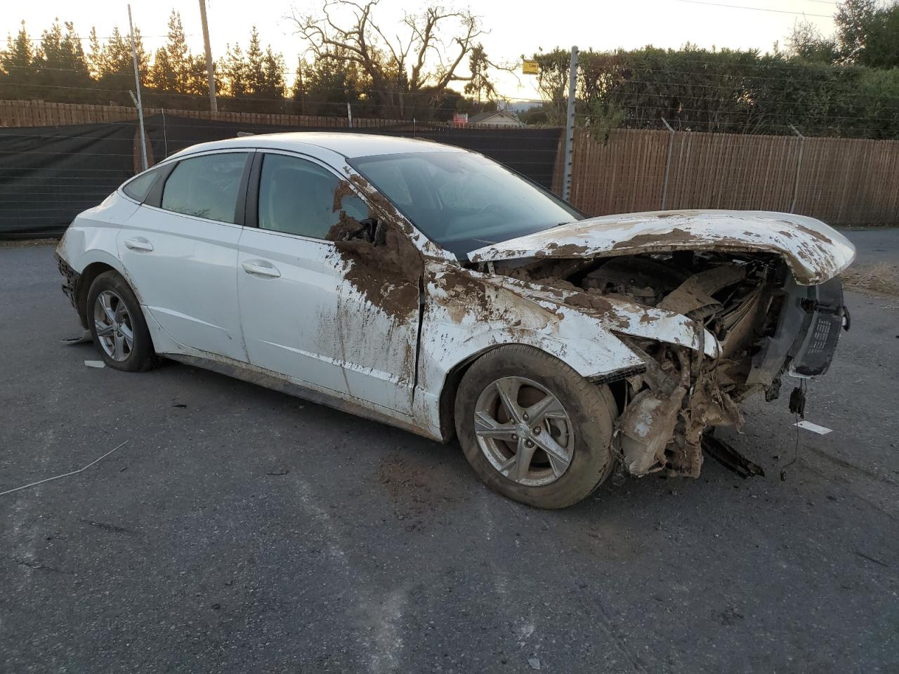 2020 Hyundai Sonata VIN 5NPEG4JA4LH013440 Copart auction photo, rollover damage thumbnail 4