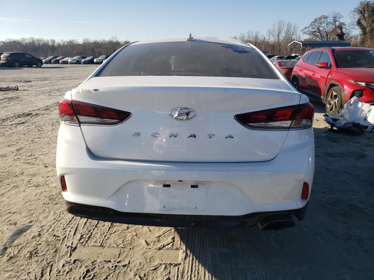 2019 Hyundai Sonata VIN 5NPE34AF9KH764877 Copart auction photo, side / top/roof damage thumbnail 6