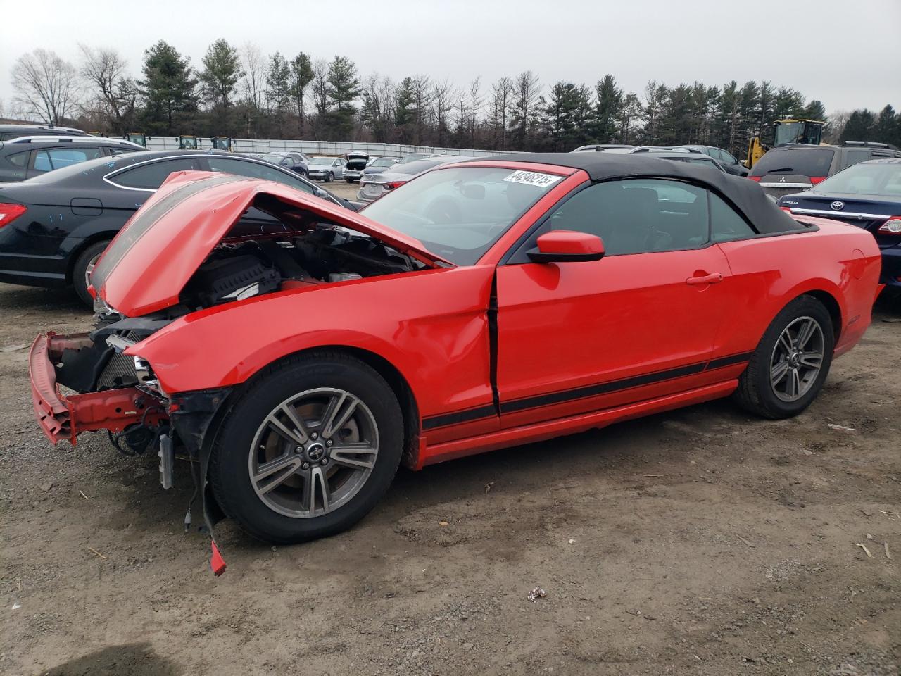 2013 Ford Mustang VIN 1ZVBP8EM1D5236662