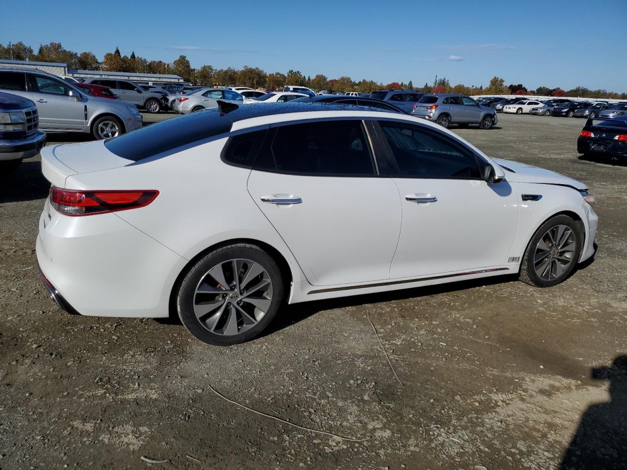 2016 KIA Optima VIN 5XXGV4L26GG027247 Copart auction photo, front end damage thumbnail 3