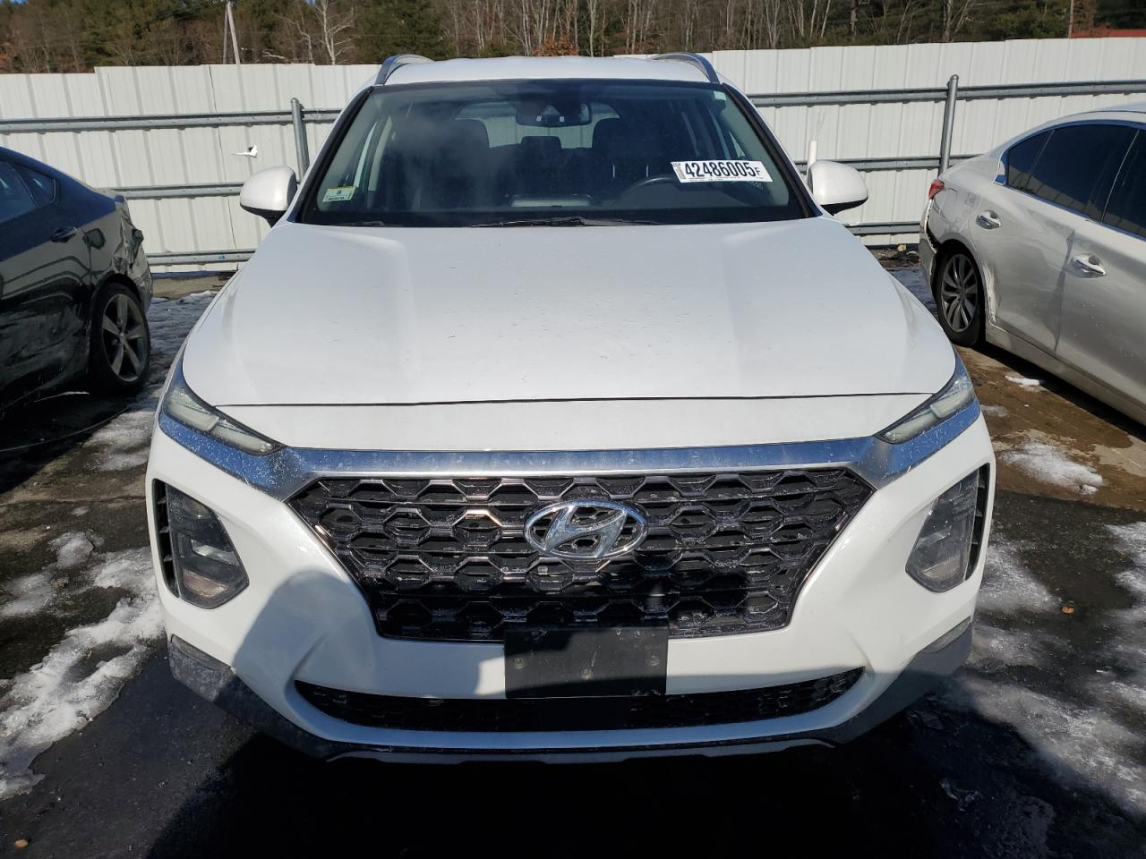 2019 Hyundai Santa Fe VIN 5NMS3CAD0KH012042 Copart auction photo, side damage thumbnail 5