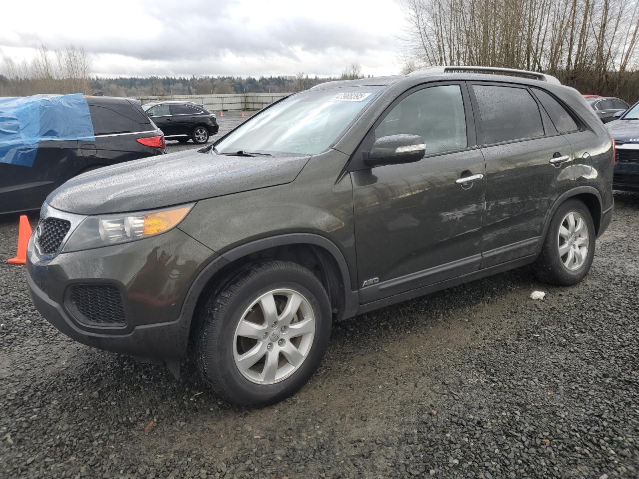2013 KIA Sorento VIN 5XYKTDA28DG330959 - Copart auction photo