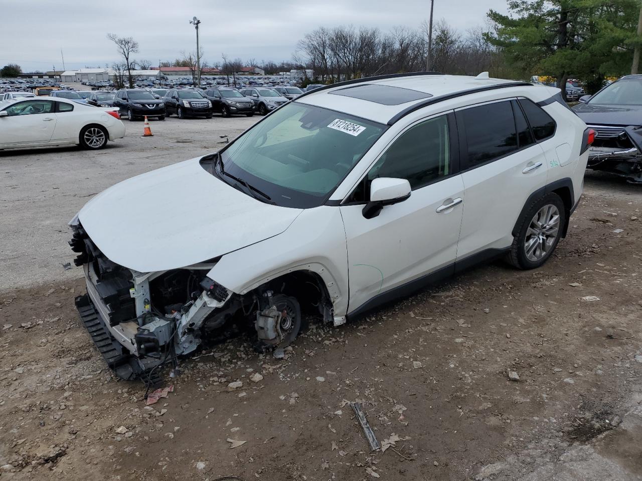 2019 Toyota RAV 4 VIN JTMN1RFV0KD036700