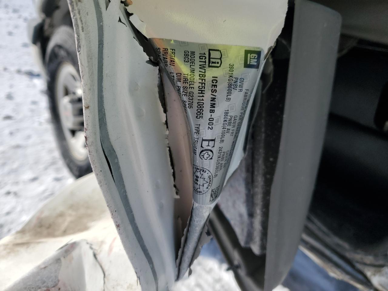 2017 GMC Savana VIN 1GTW7BFF5H1108665 Copart auction photo, side damage thumbnail 13