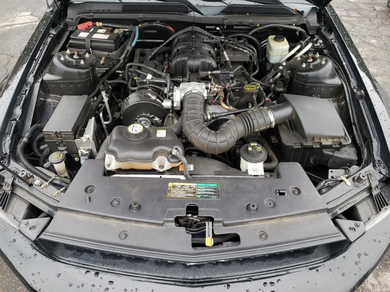 2005 Ford Mustang VIN 1ZVFT84N155204402 Copart auction photo, side / rear end damage thumbnail 11