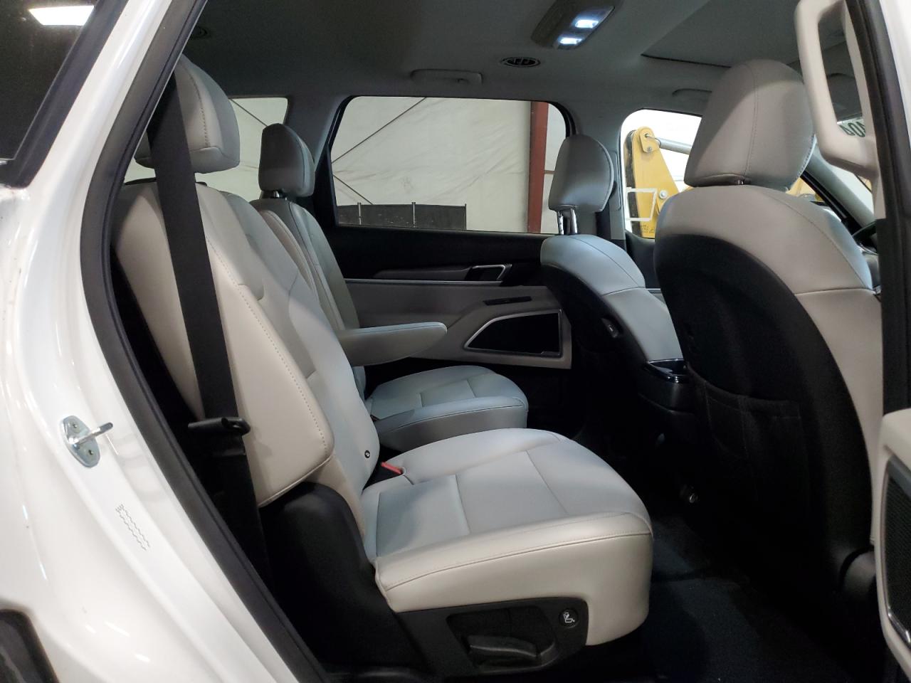 2021 KIA Telluride VIN 5XYP6DHCXMG100061 Copart auction photo, rear end / minor dent/scratches damage thumbnail 11