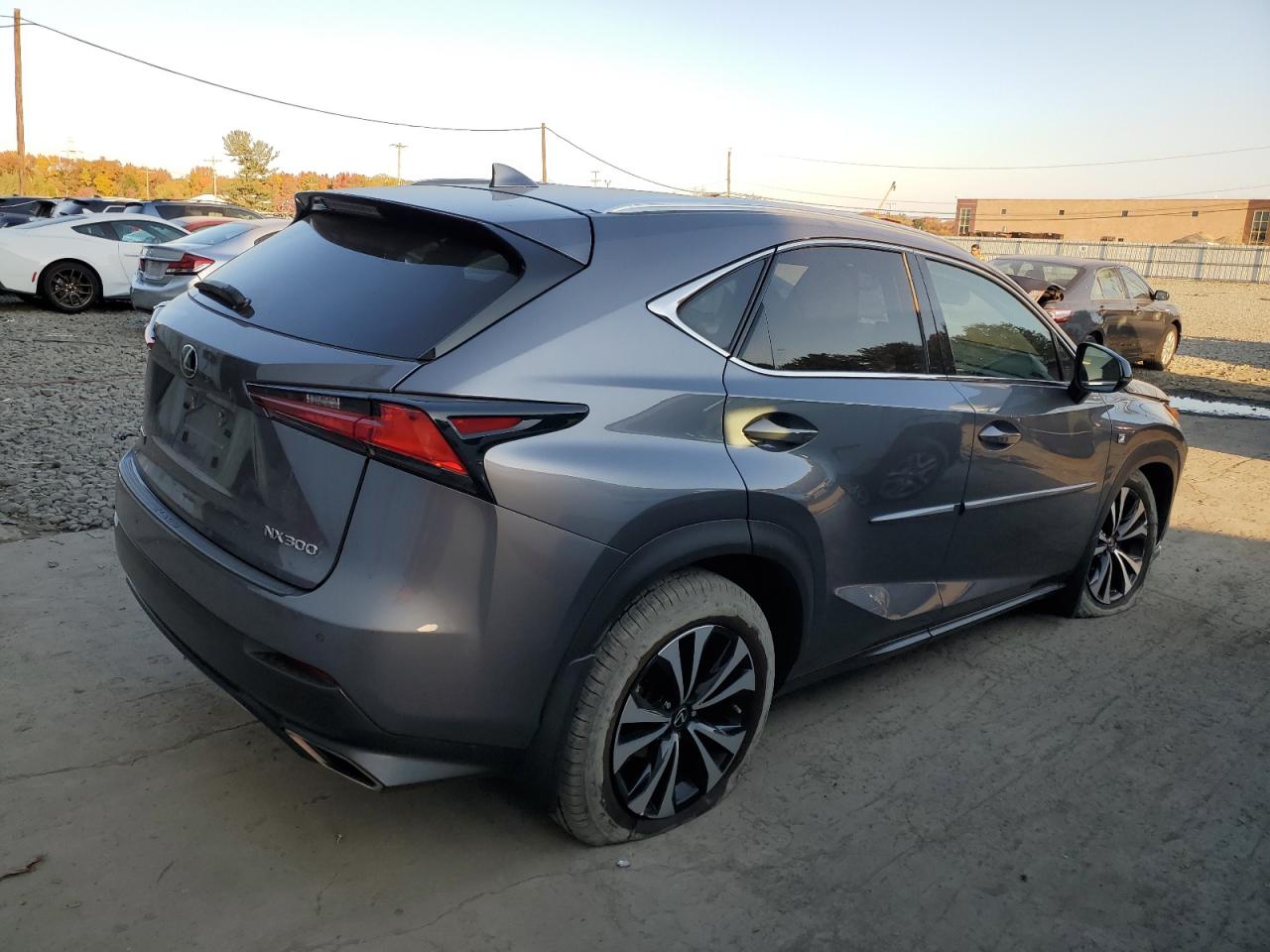 2020 Lexus NX VIN JTJSARDZ7L2226285 Copart auction photo, side damage thumbnail 3