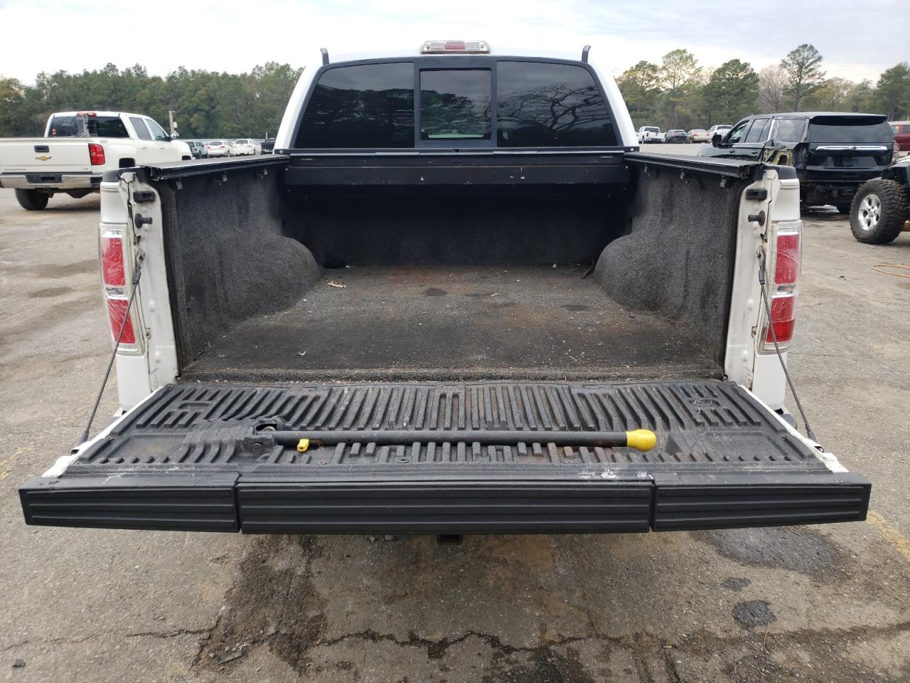 2010 Ford F-150 VIN 1FTFW1CV9AFA70598 Copart auction photo, side damage thumbnail 6