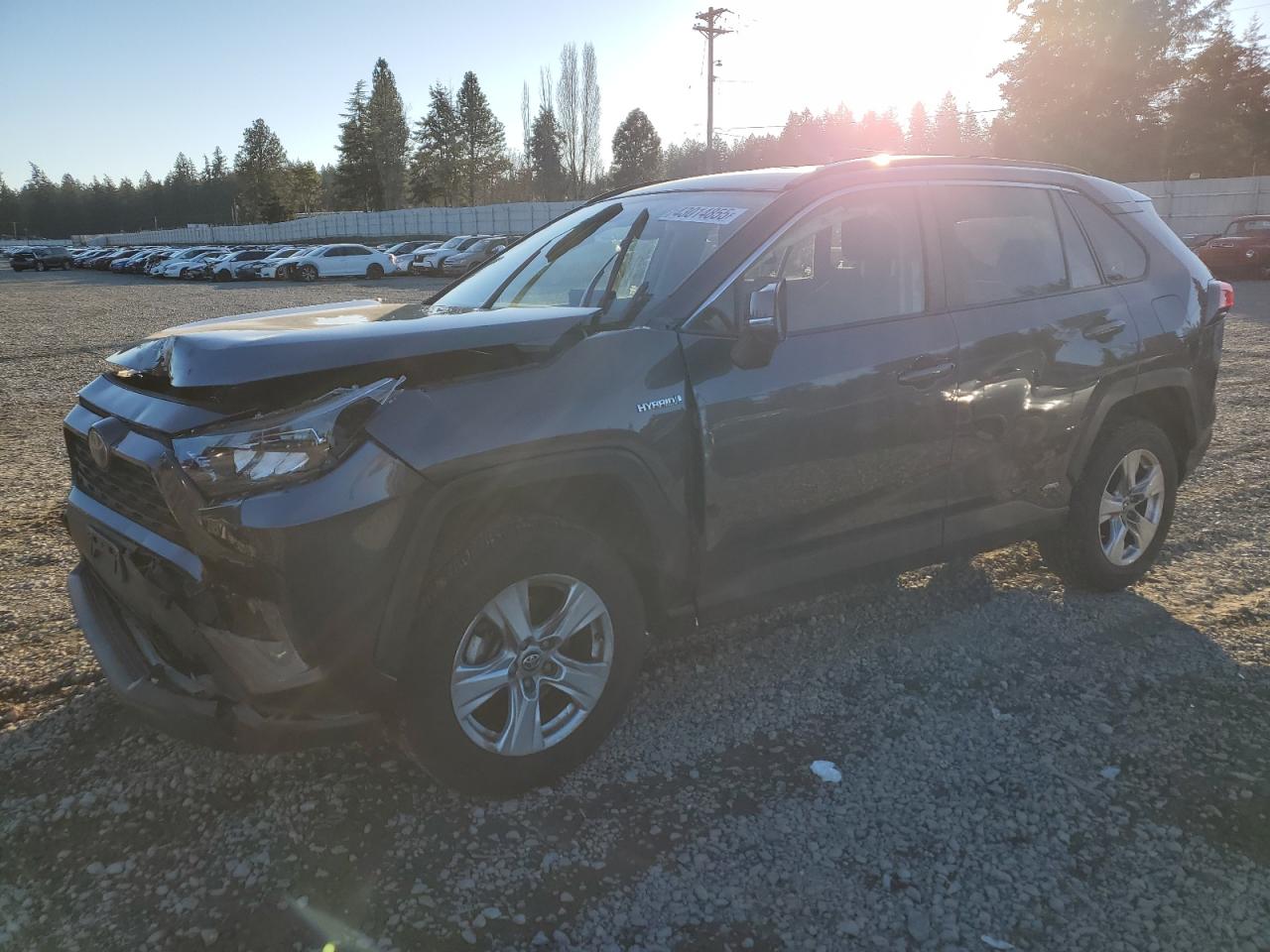 2019 Toyota RAV 4 VIN JTMMWRFV6KD502434