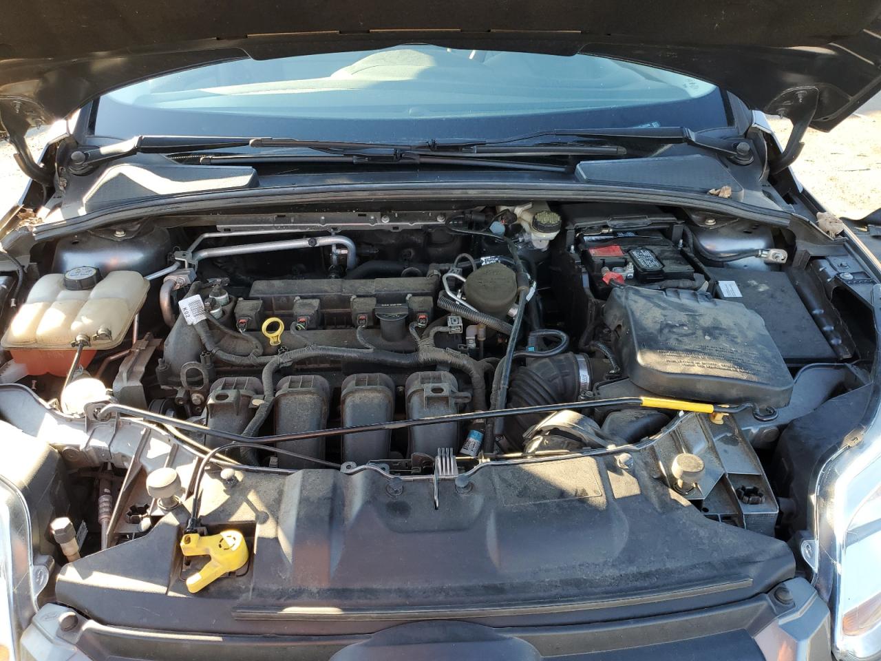 2013 Ford Focus VIN 1FADP3F24DL359398 Copart auction photo, side damage thumbnail 11