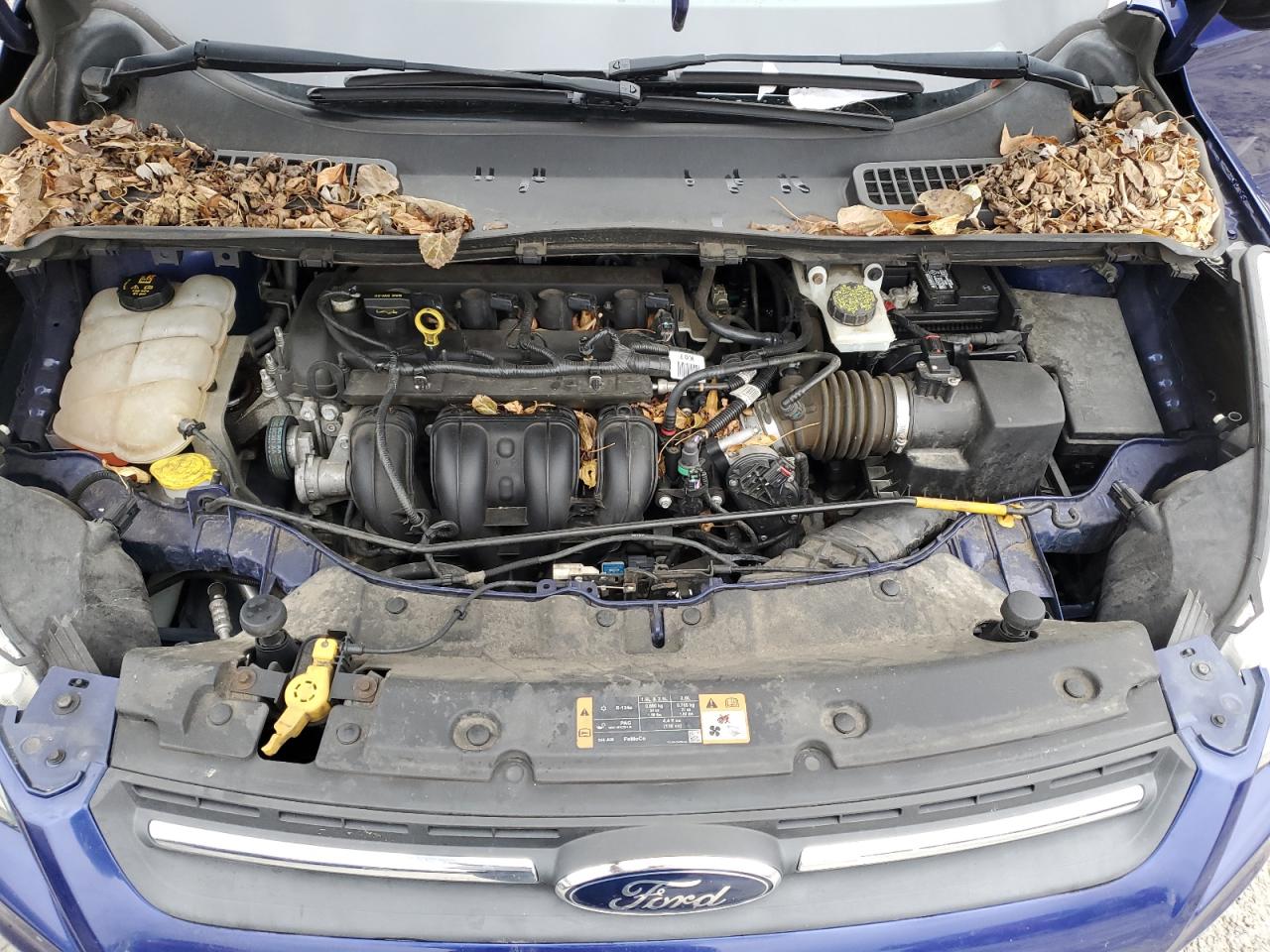 2015 Ford Escape VIN 1FMCU0G72FUA15911 Copart auction photo, rear end / side damage thumbnail 12