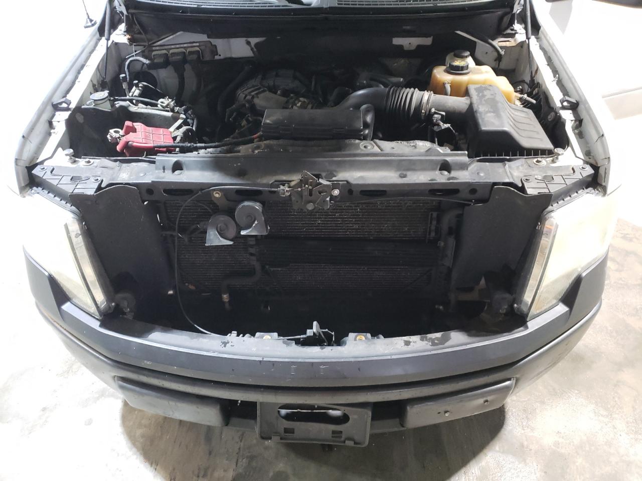 2011 Ford F-150 VIN 1FTMF1CM3BKE23361 Copart auction photo, side / minor dent/scratches damage thumbnail 12