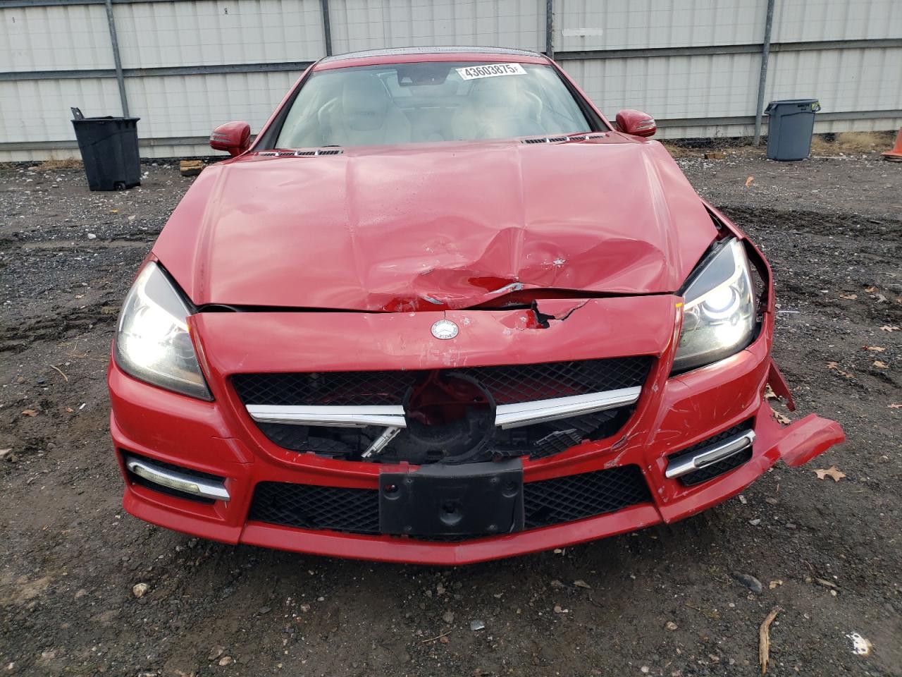 2016 Mercedes-Benz SLK-klasse VIN WDDPK3JAXGF125117 Copart auction photo, front end / minor dent/scratches damage thumbnail 5