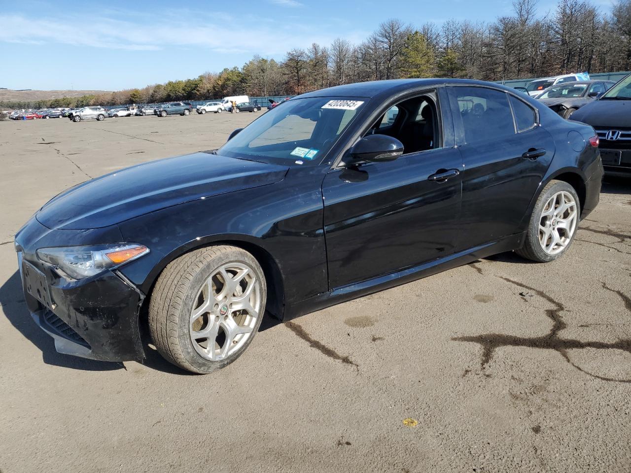 2020 Alfa Romeo Giulia VIN ZARFANBN8L7639113
