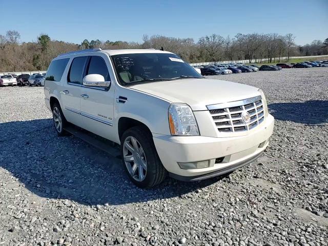 2010 Cadillac Escalade VIN 1GYUCJEFXAR188478 Copart auction photo, rear end / mechanical damage thumbnail 12
