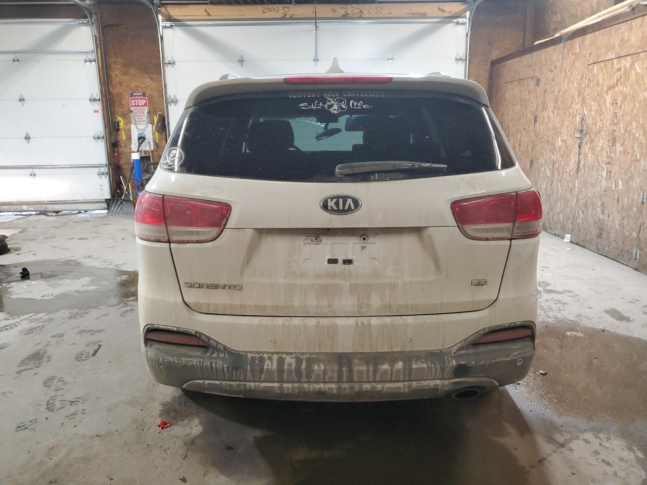2016 KIA Sorento VIN 5XYPGDA37GG149648 Copart auction photo, all over damage thumbnail 6