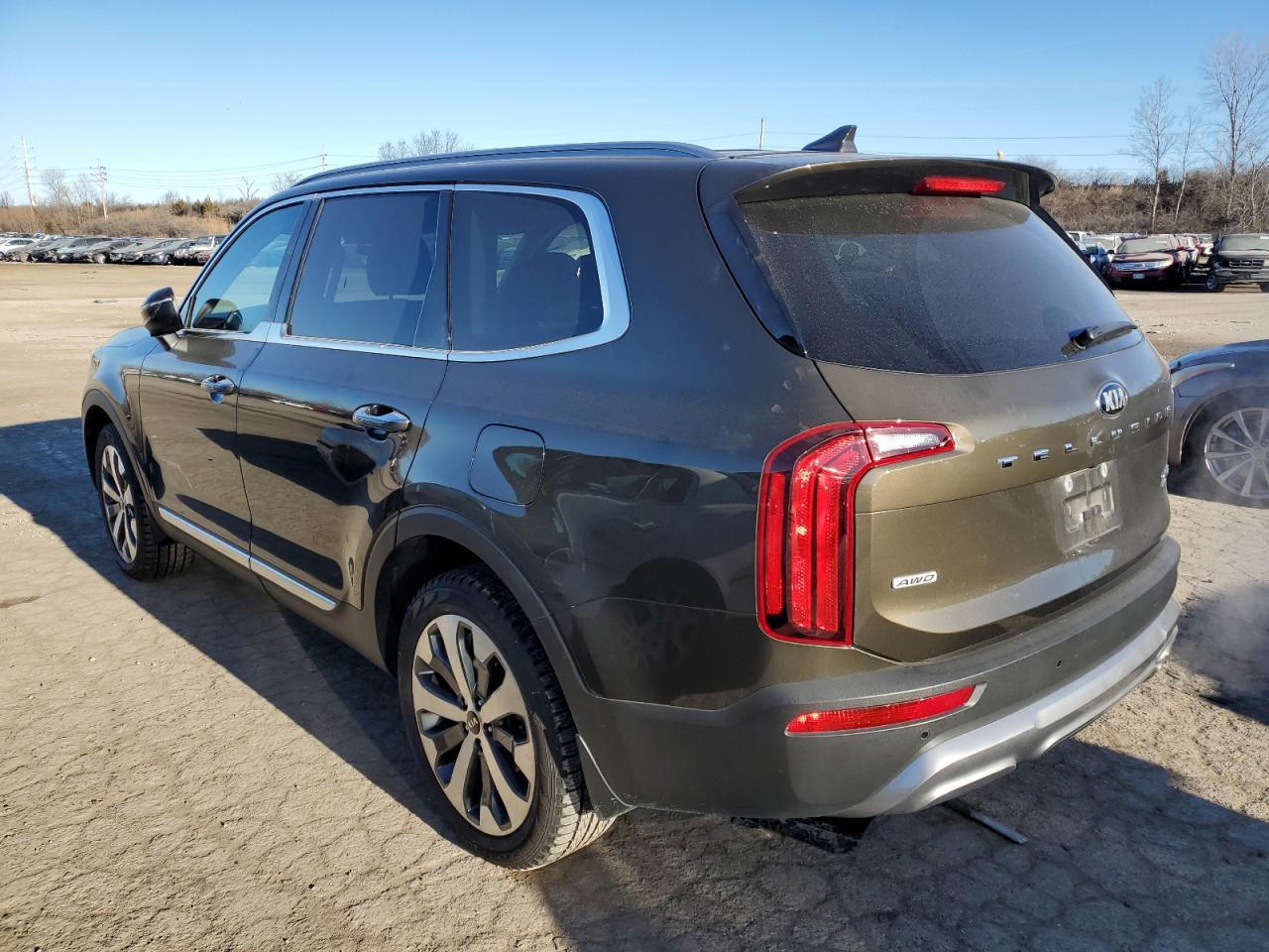 2021 KIA Telluride VIN 5XYP6DHC9MG103954 Copart auction photo, hail damage thumbnail 2
