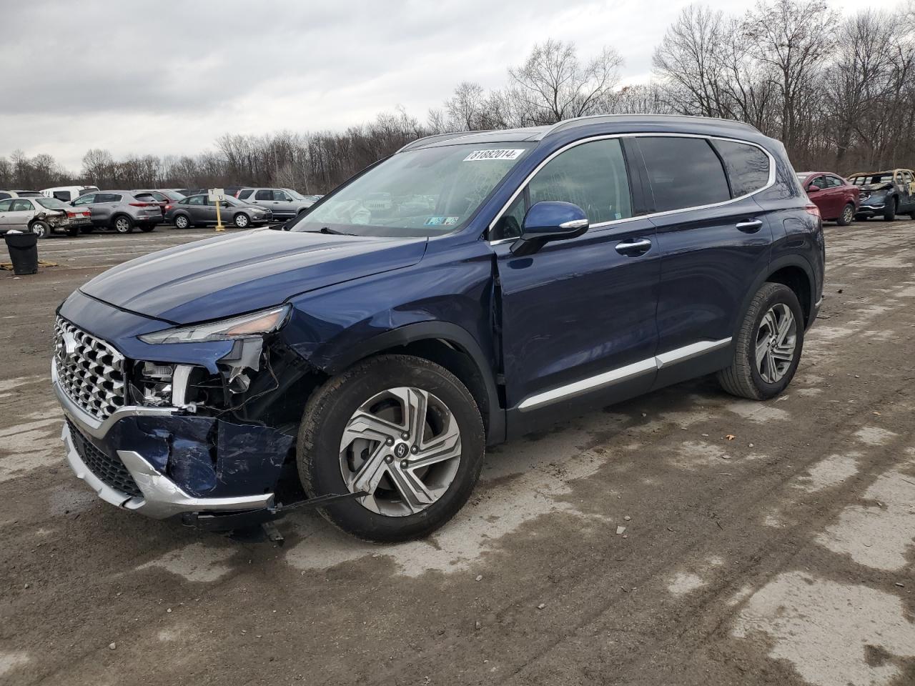2022 Hyundai Santa Fe VIN 5NMS3DAJXNH423934