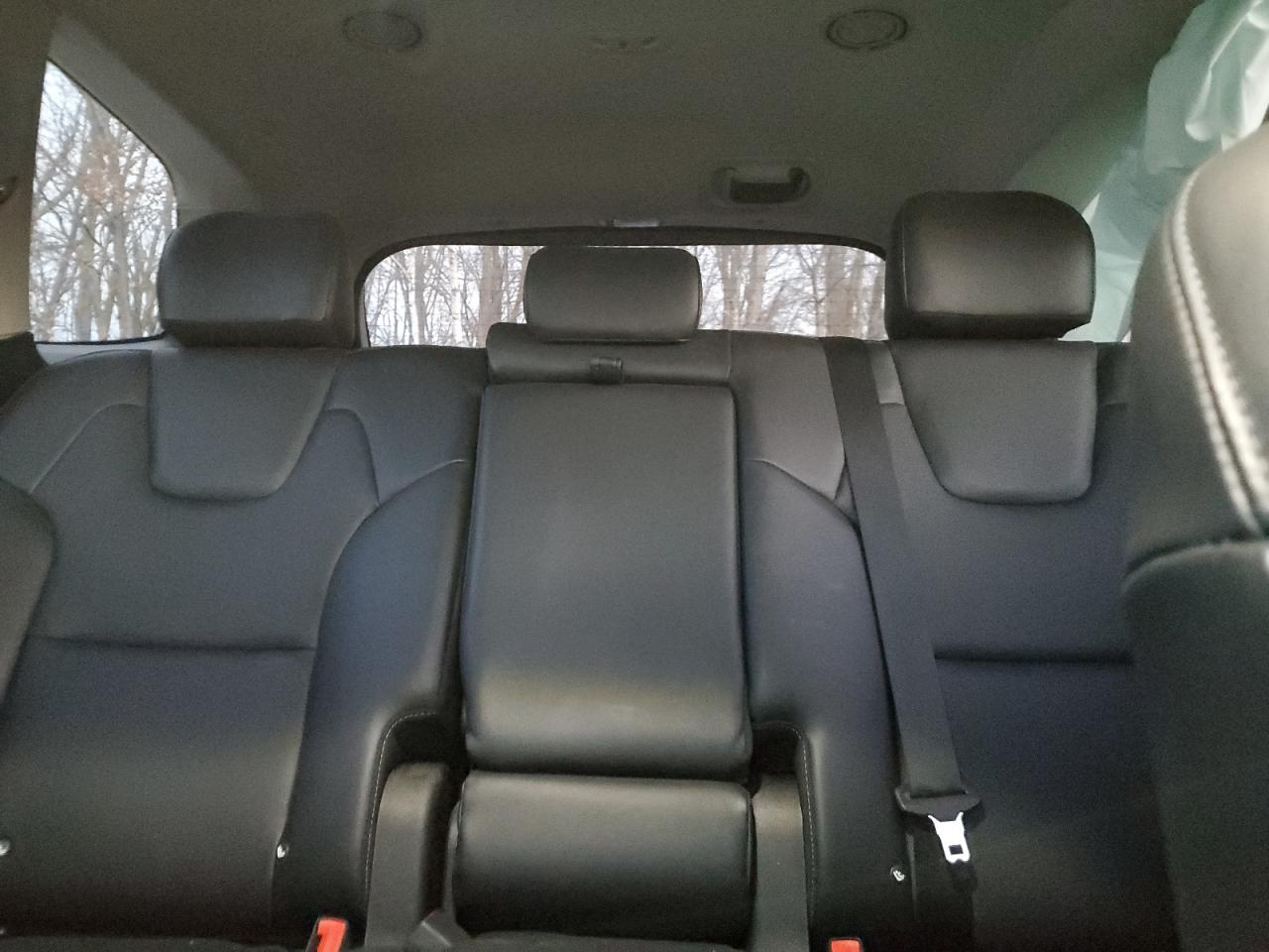2020 KIA Telluride VIN 5XYP6DHC3LG077933 Copart auction photo, side damage thumbnail 10