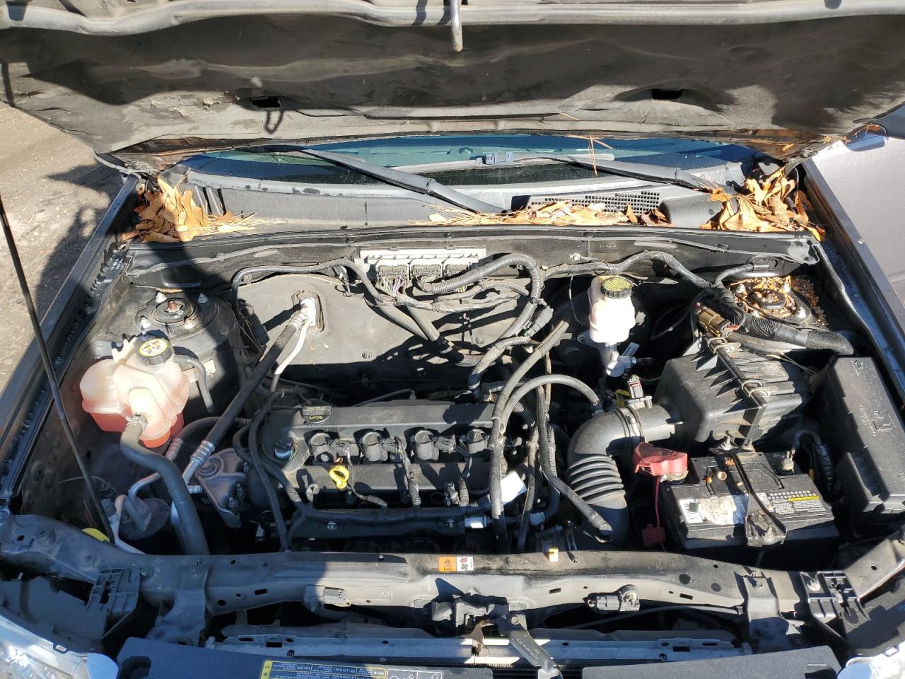 2012 Ford Escape VIN 1FMCU0D71CKB66041 Copart auction photo, rear end / front end damage thumbnail 12