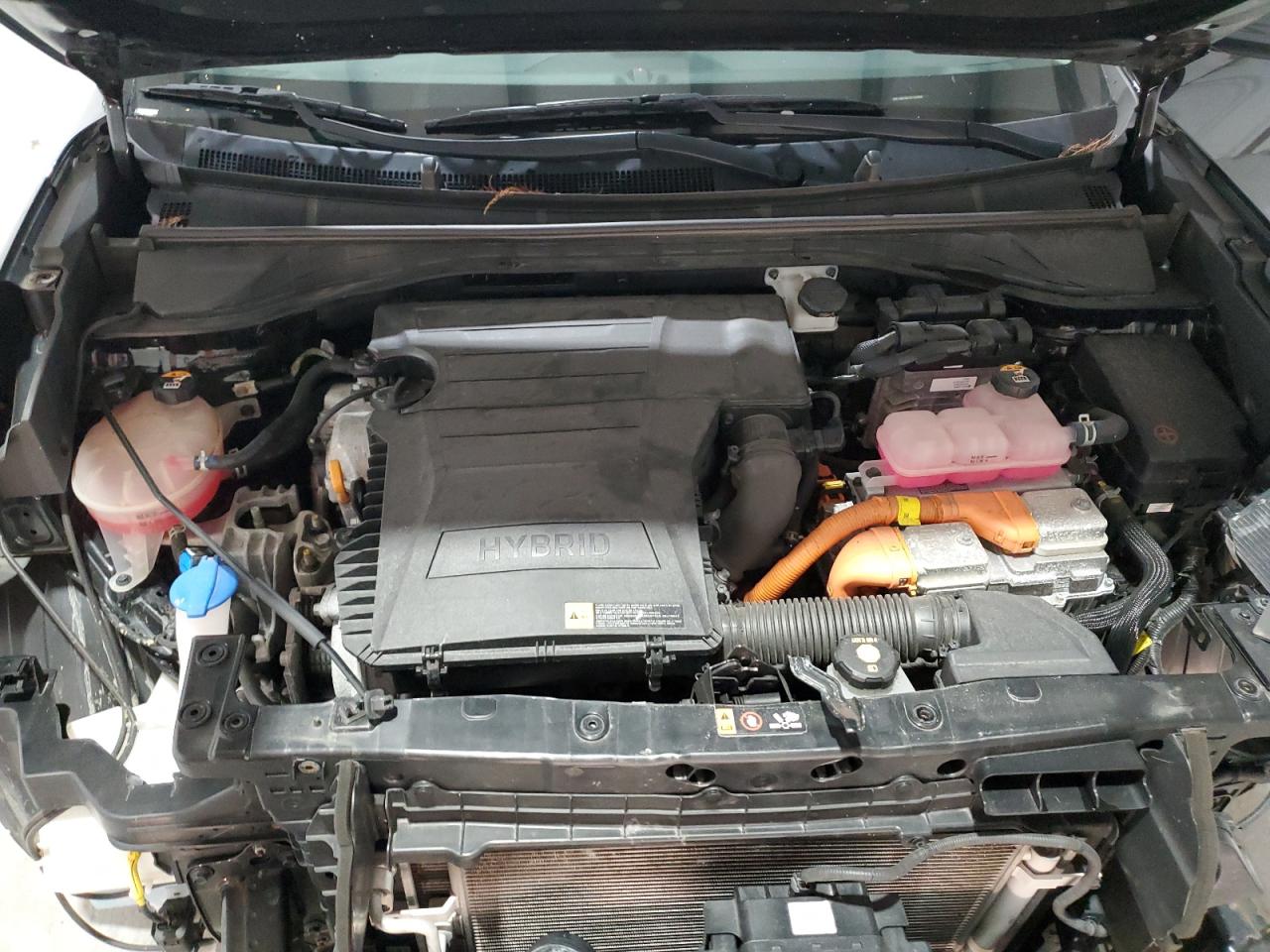 2020 KIA Niro VIN KNDCB3LC8L5439808 Copart auction photo, front end damage thumbnail 12