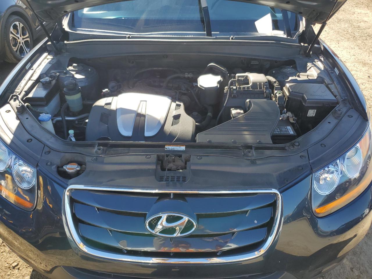 2010 Hyundai Santa Fe VIN 5NMSKDAG6AH381778 Copart auction photo, side damage thumbnail 12