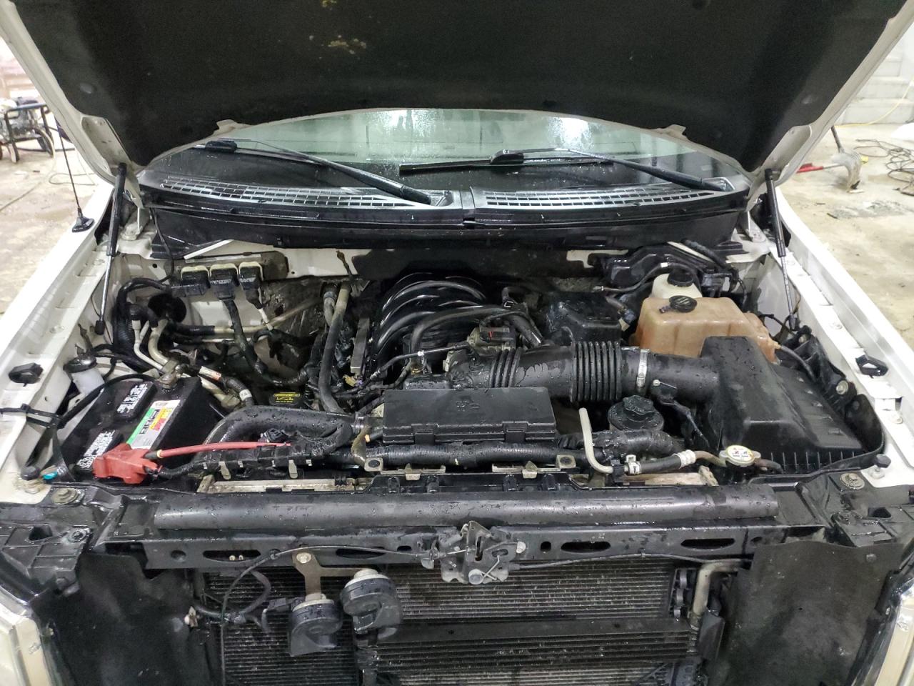 2010 Ford F-150 VIN 1FTEX1E89AFA09364 Copart auction photo, front end damage thumbnail 11