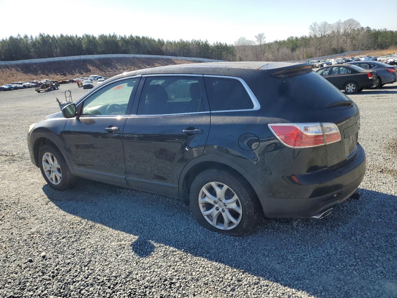 2011 Mazda CX-9 VIN JM3TB2BA0B0328733 Copart auction photo, all over damage thumbnail 2
