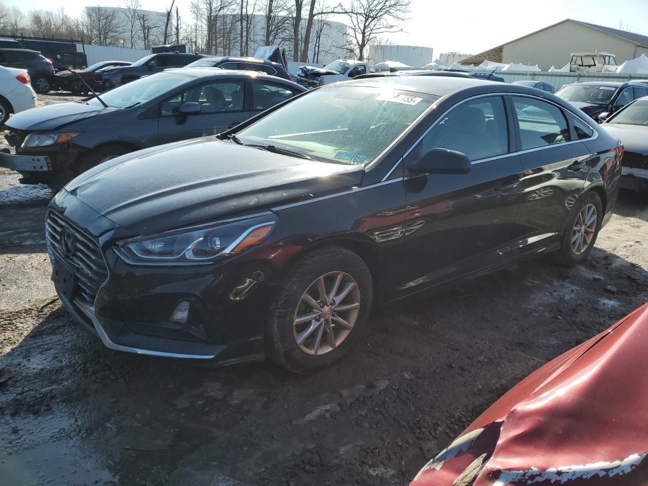 2019 Hyundai Sonata VIN 5NPE24AF1KH779604