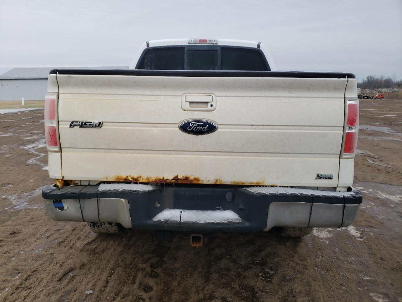 2010 Ford F-150 VIN 1FTFW1EV3AFB92225 Copart auction photo, mechanical / minor dent/scratches damage thumbnail 6