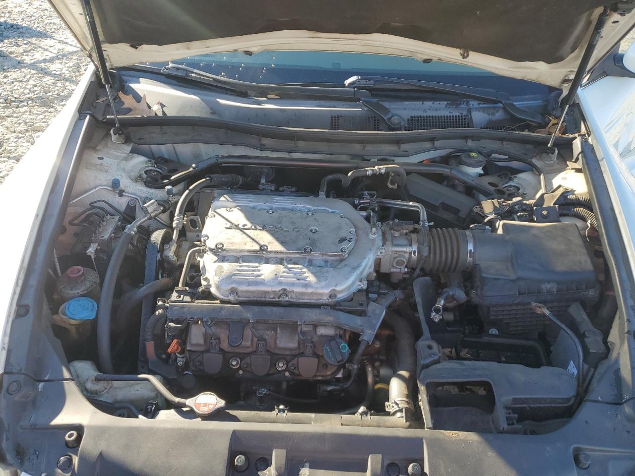 2010 Honda Accord VIN 1HGCP3F8XAA007655 Copart auction photo, all over damage thumbnail 11