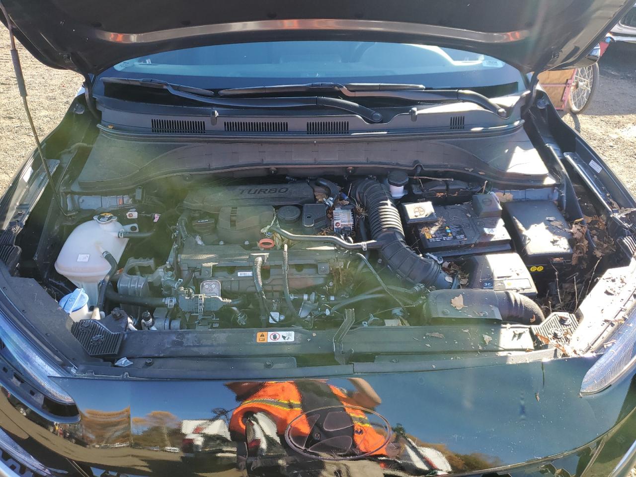 2023 Hyundai Kona VIN KM8K5CA3XPU934895 Copart auction photo, rear end / front end damage thumbnail 12