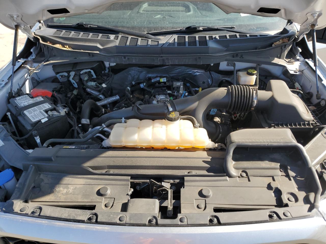 2021 Ford F-150 VIN 1FTEW1CP2MFA90323 Copart auction photo, side / hail damage thumbnail 11