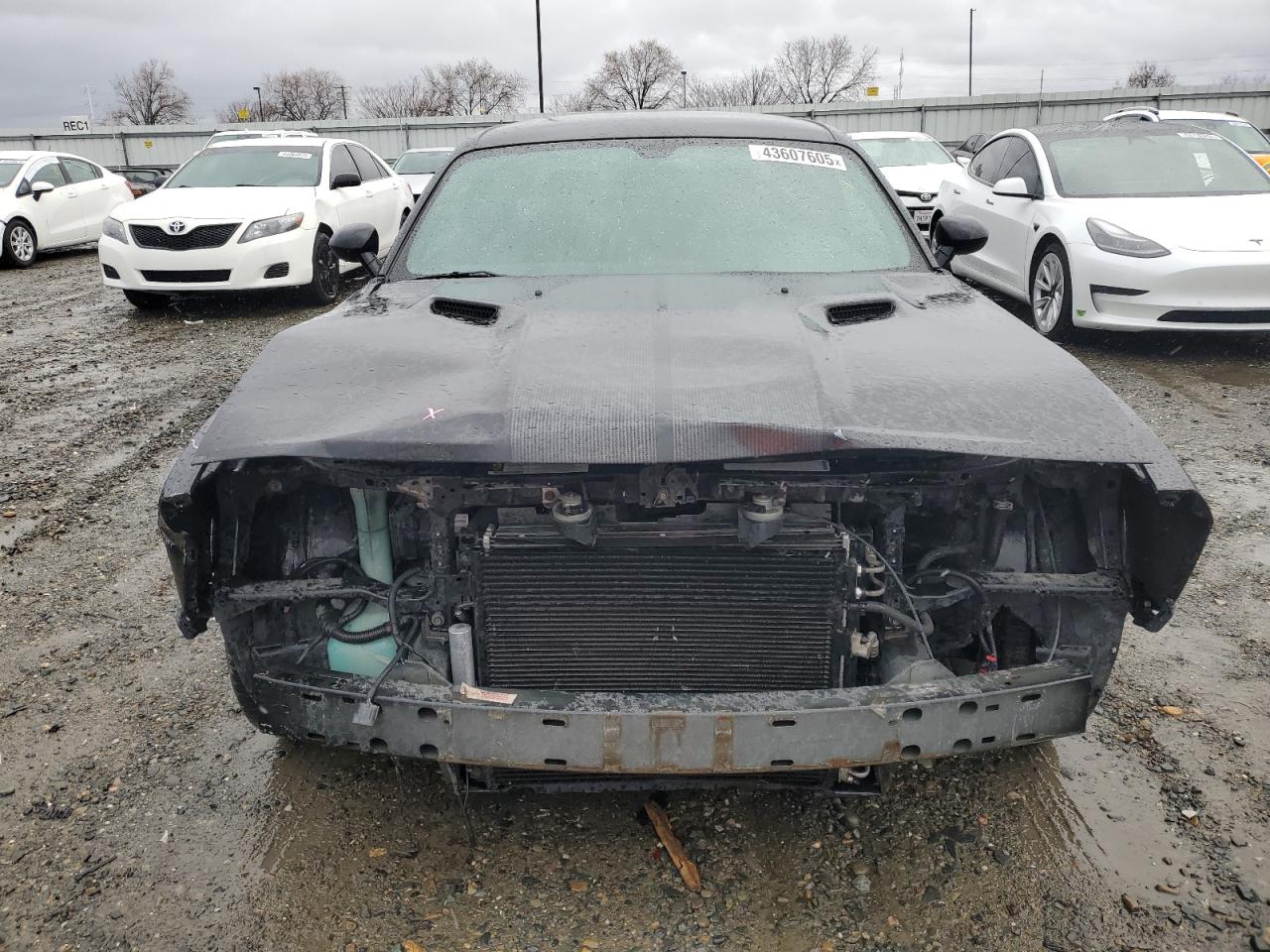 2009 Dodge Challenger VIN 2B3LJ74W59H569311 Copart auction photo, front end damage thumbnail 5