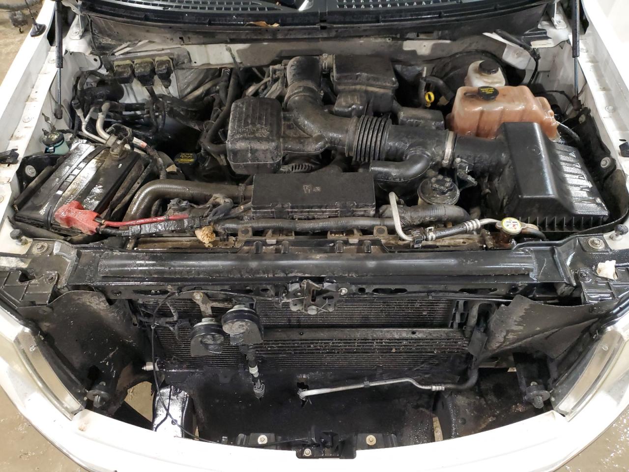 2010 Ford F-150 VIN 1FTFW1CV3AFA92614 Copart auction photo, rear end / side damage thumbnail 11