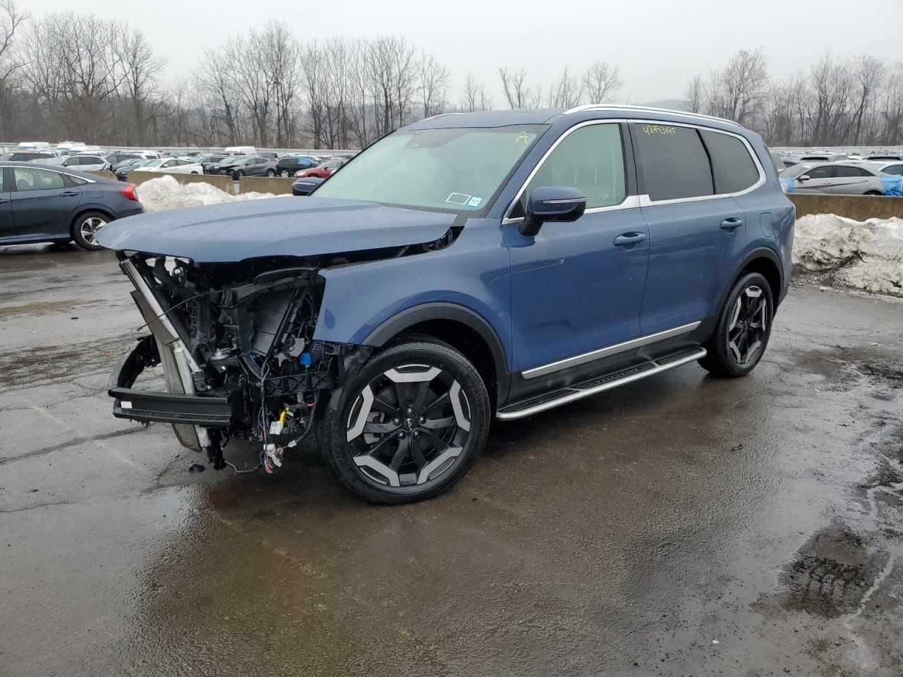 2023 KIA Telluride VIN 5XYP3DGC0PG376117